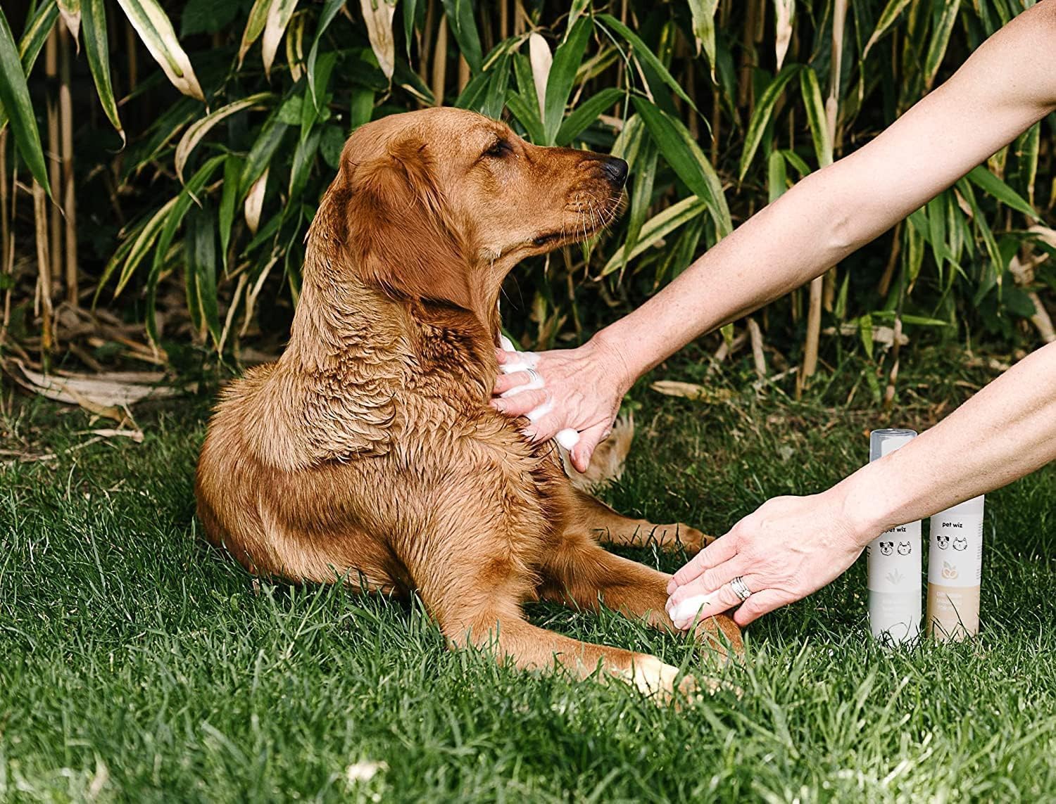 Shampooing de Lavage à Sec pour Animaux de Compagnie - Apaisant et Désodorisant, Ingrédients Naturels, Séchage Rapide et sans Rinçage (Noix de Coco & Avoine)