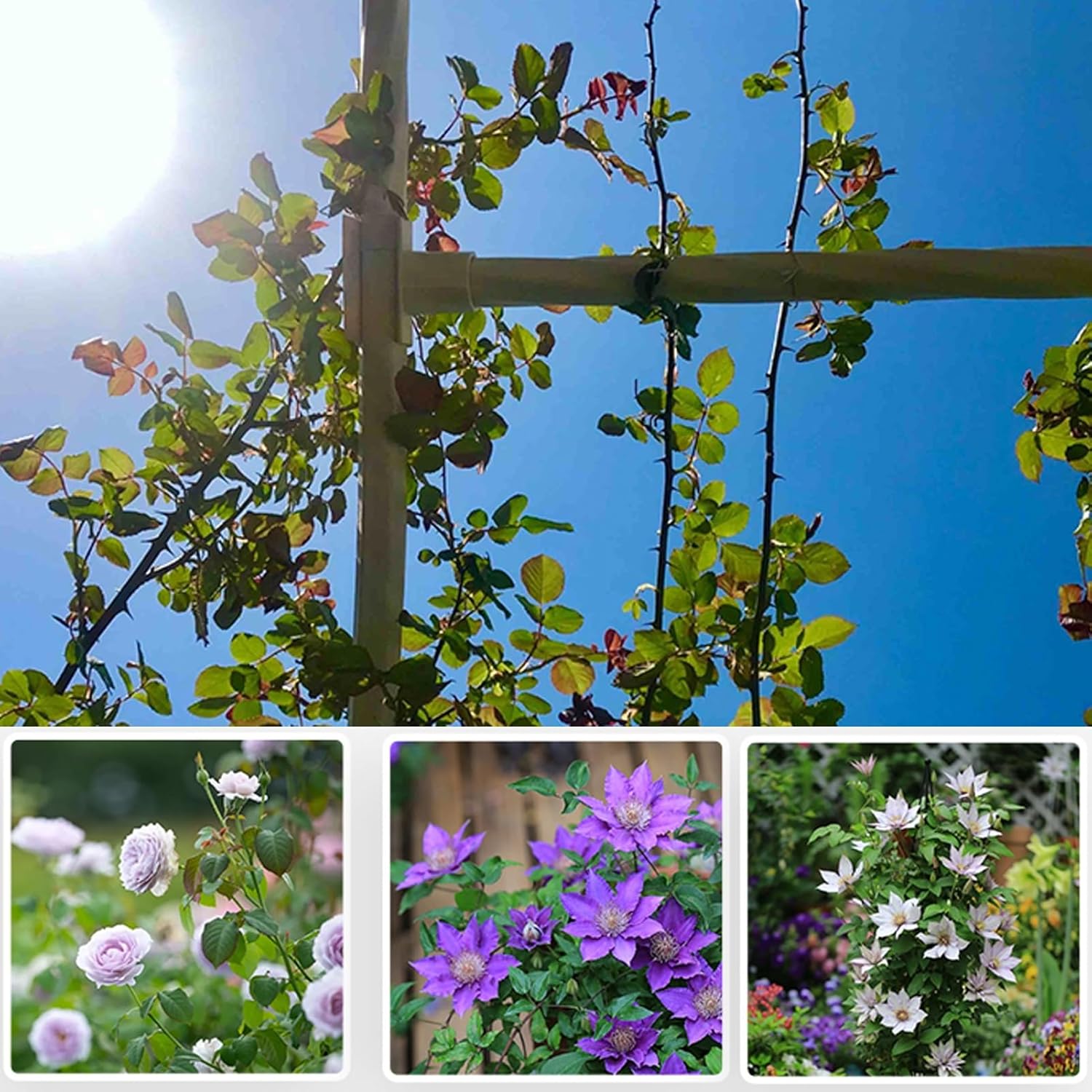 Weatherproof Trellis Rose Archway - 1.8m Outdoor Garden Climbing Aid for Weddings, Lawn & Indoor Use (Elegant White, Half Side Design)