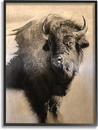 Stupell Industries Young Bull - Retrato vintage con dibujo rústico realista, diseñado por Cole Johnson, arte de pared enmarcado negro, 11 x 14