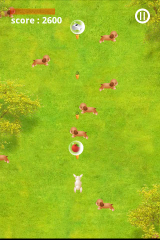 Rabbit Track - App on Amazon Appstore