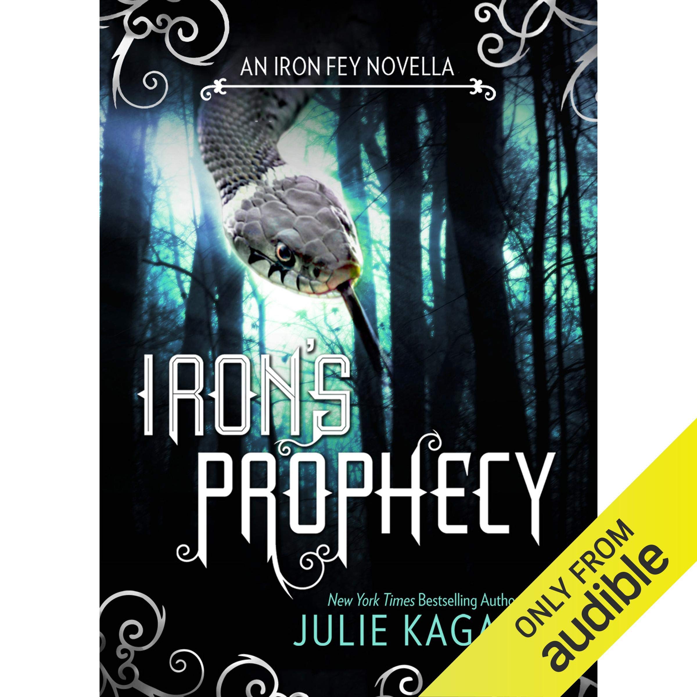 Cover art for Iron's Prophecy