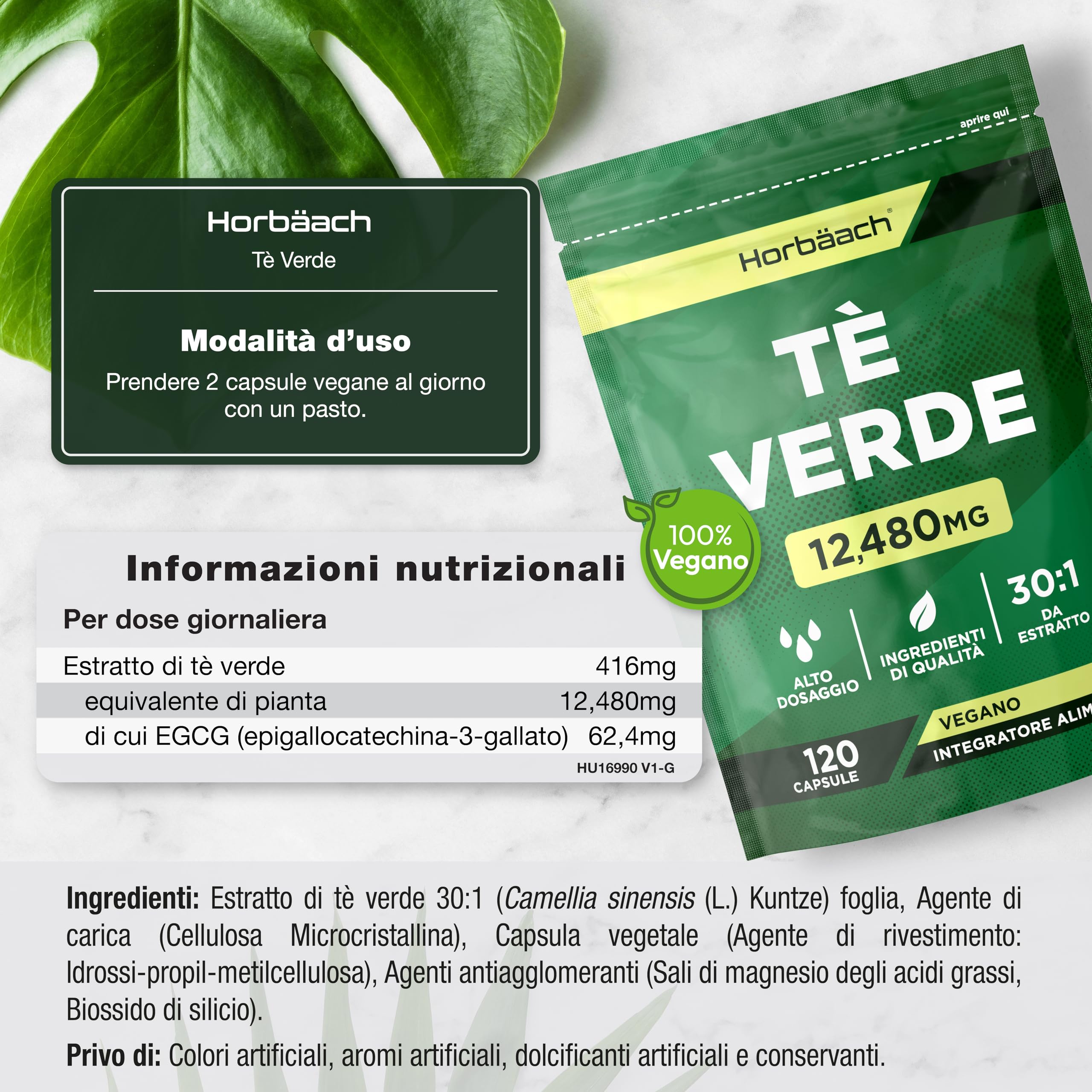 Te Verde Capsule 12480mg | Green Tea estratto ad alta resistenza | 120 capsule in polvere | Vegano e vegetariano | di Horbaach