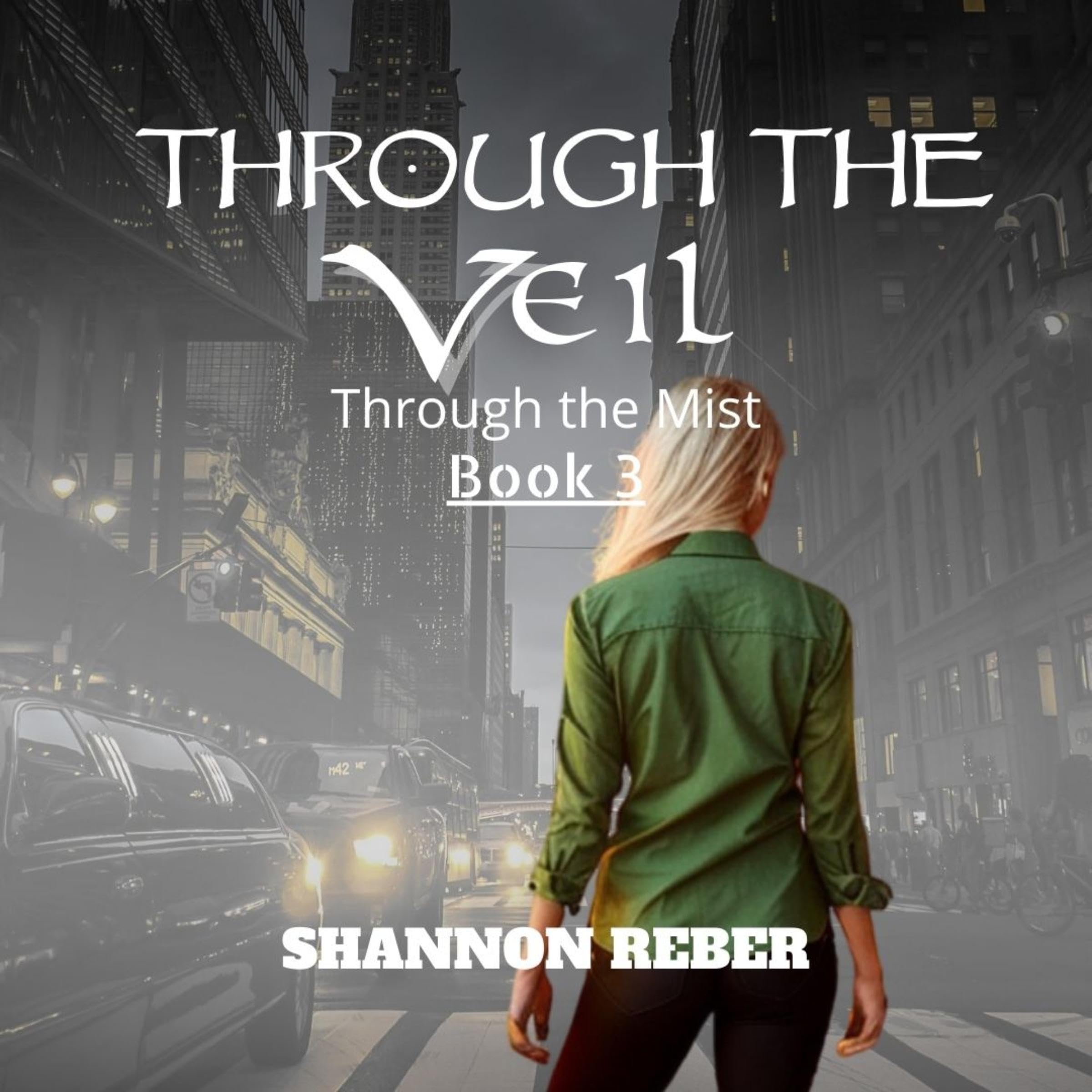 Cover art for Through the Veil