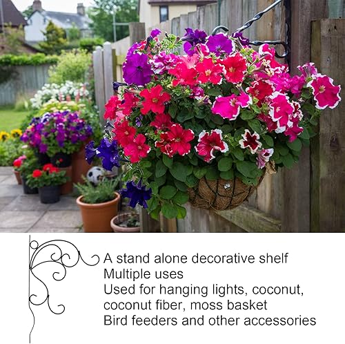 Miniatura 7 de DCQRY Soporte de plantas colgantes con gancho para macetas de pared con tornillos de hierro incluidos, maceta antioxidante, colgador de comedero de