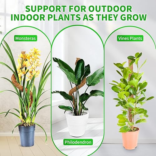 Miniatura 6 de Poste de musgo, estacas flexibles de soporte para plantas trepadoras de 25 pulgadas para plantas Monstera, soporte de plantas para plantas de