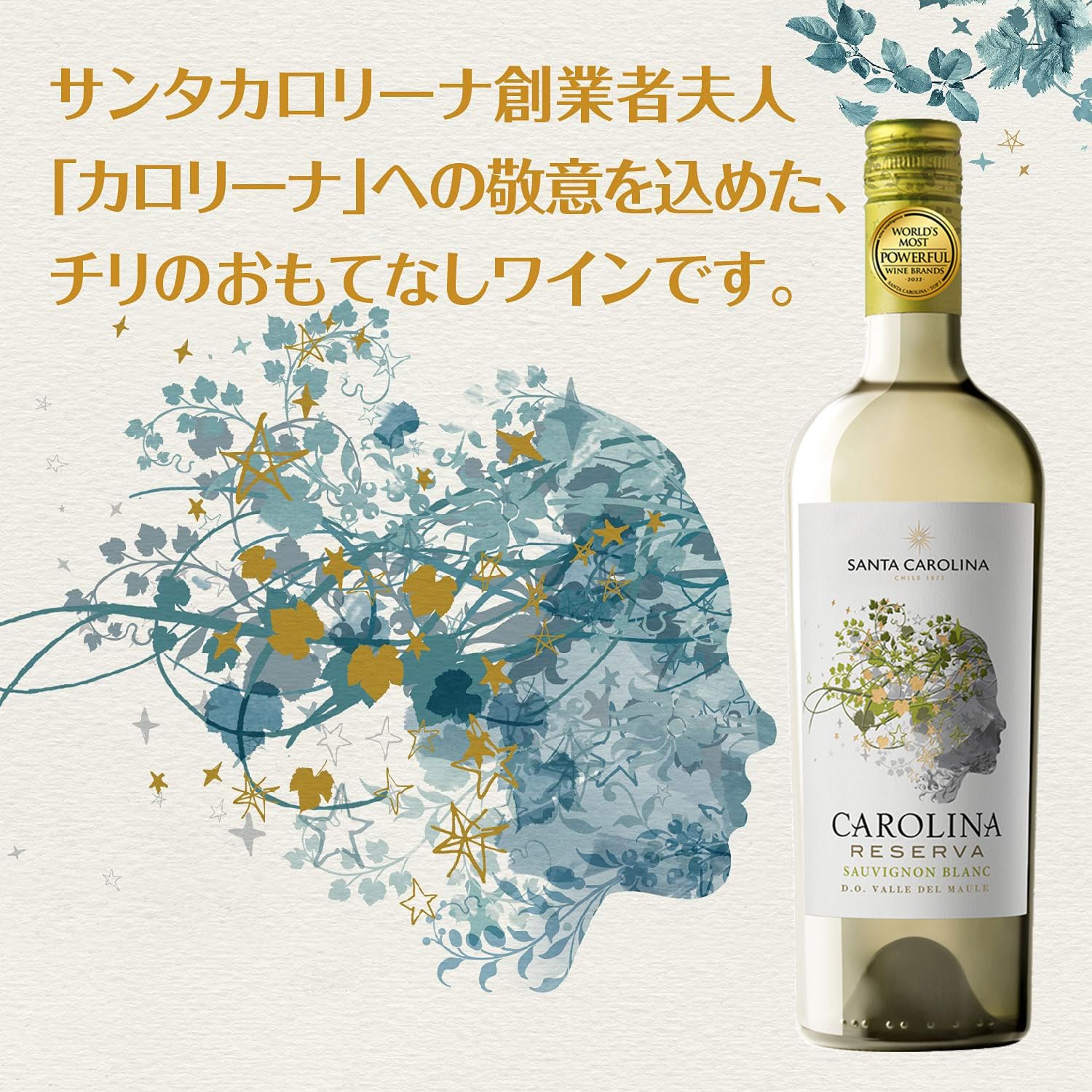Amazon.co.jp: サンタ ソーヴィニヨンブラン レセルヴァ 750ml : 食品