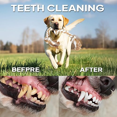 Miniatura 10 de PetiFine Juguetes de cuerda para perros para masticadores agresivos, juguetes de cuerda para masticar perros grandes y medianos, juguete de cuerda