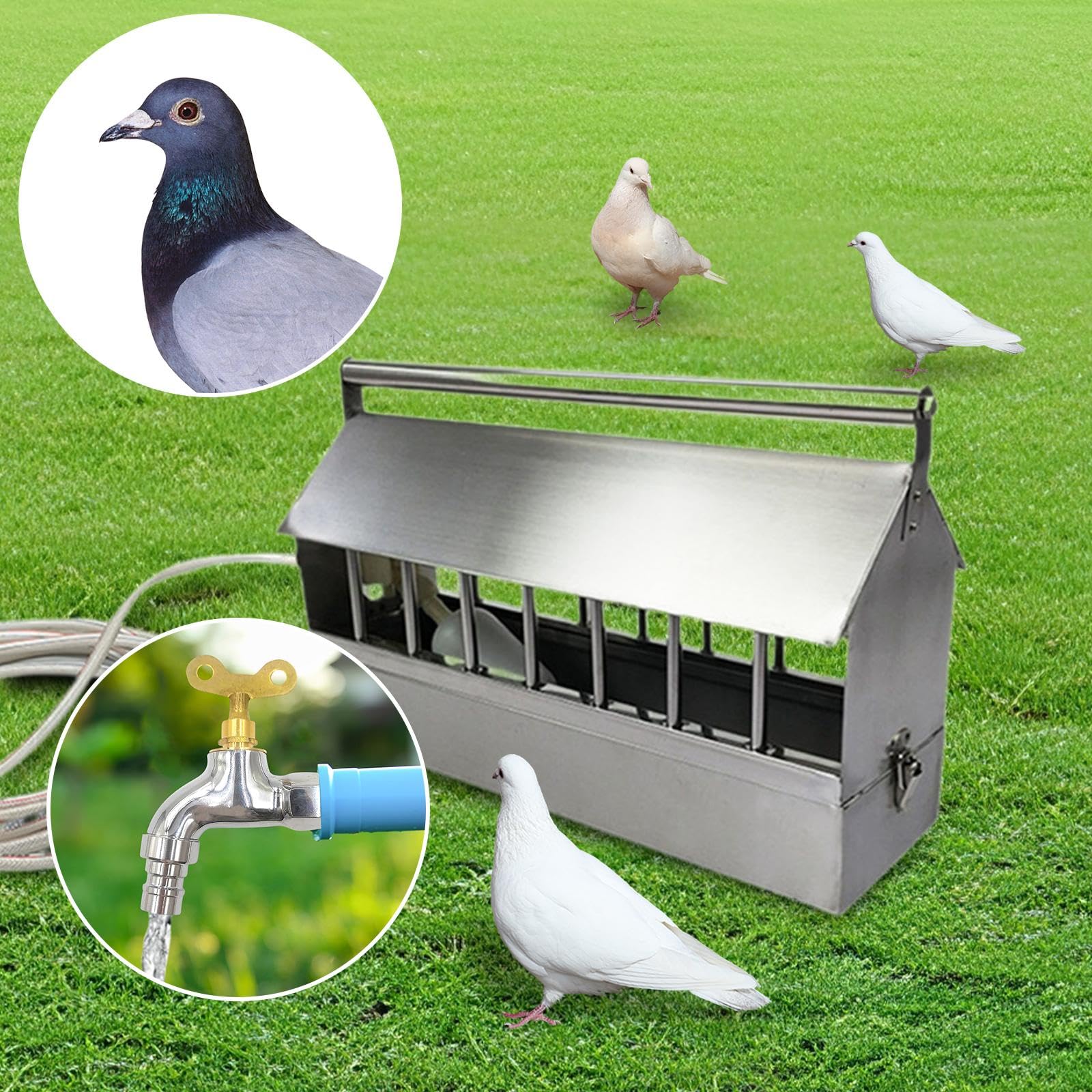 Sharplace Bebedero automático para Aves de Corral, dispensador de Agua automático para gallinas de Guinea, 40cm