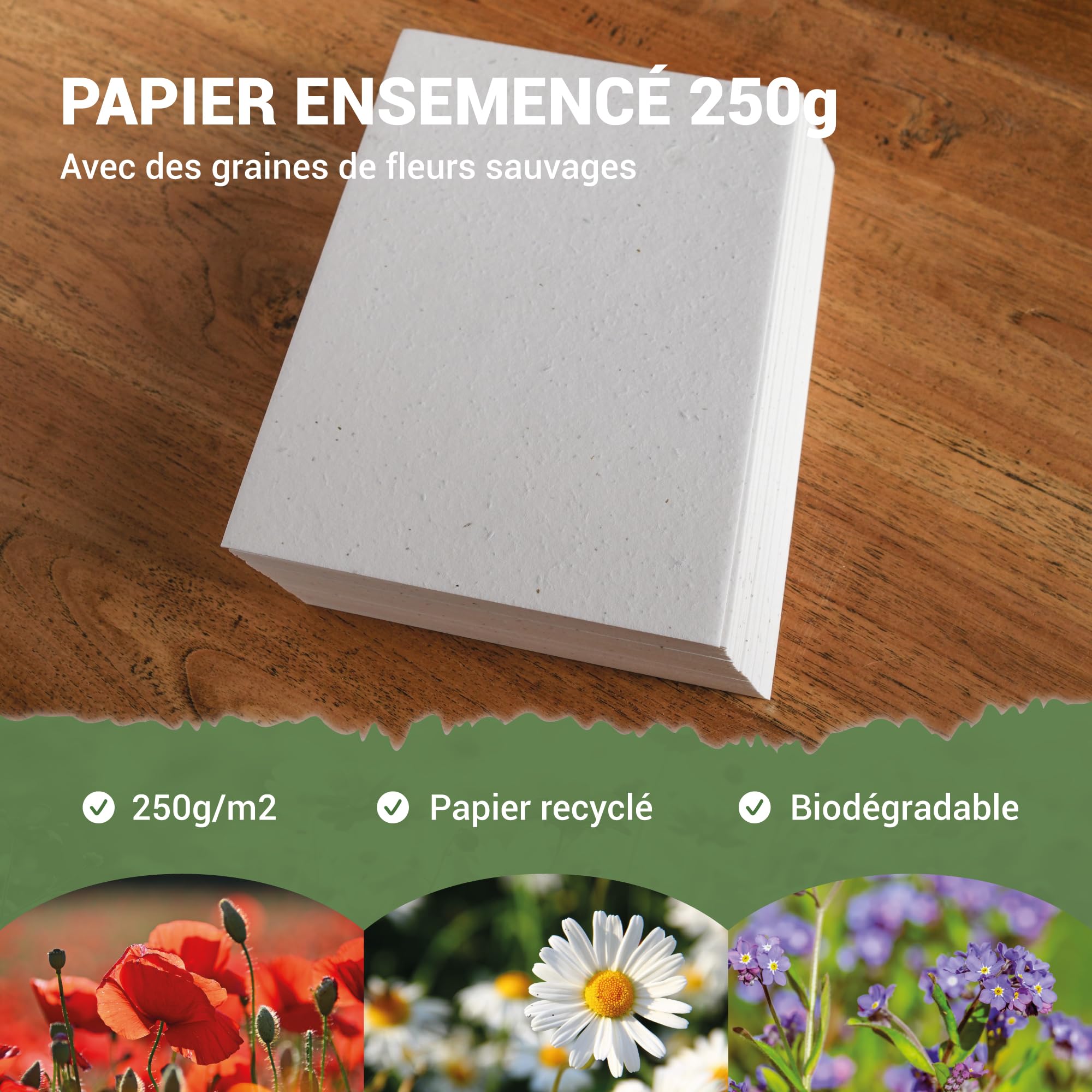 BLOOMING Papier Ensemencé - Lot de 25 feuilles à planter - Format A4 250g/m2-21x30 cm - Blanc Vierge - Graines de fleurs sauvages biodégradables - Cartes, invitations, impressions