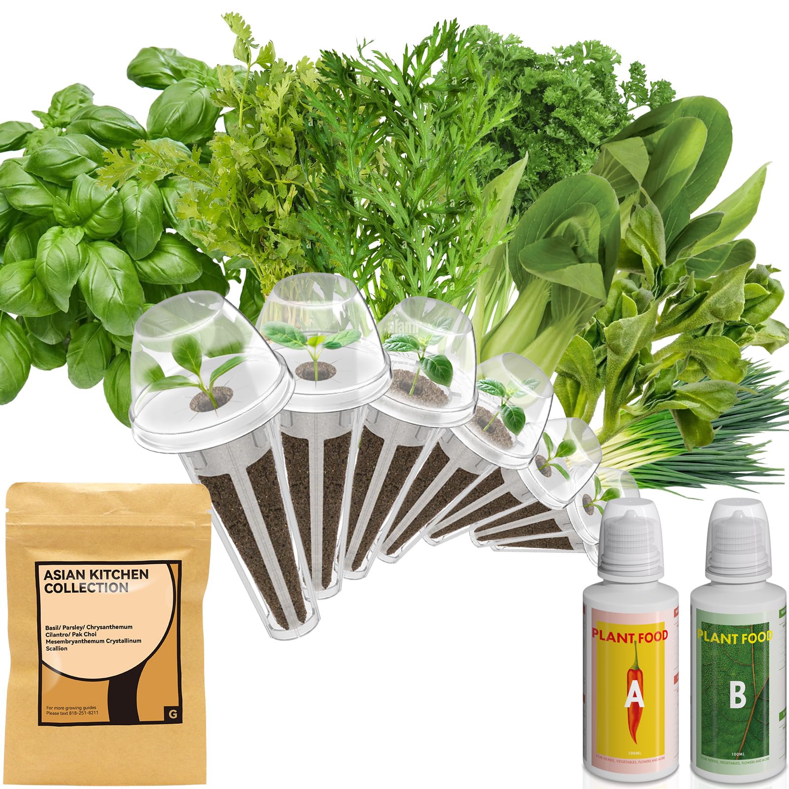 Amazon.com : inbloom Asian Herb Seed Pod Kit for AeroGarden