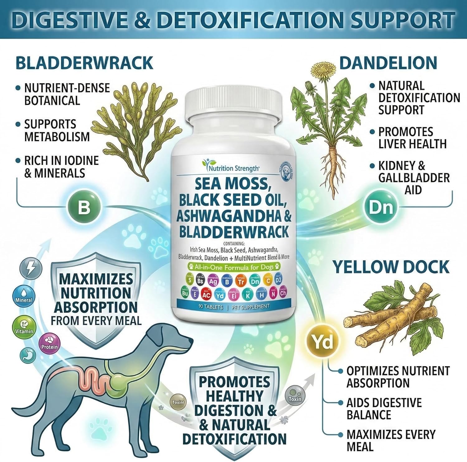 Sea Moss for Dogs - 17-in-1 Immunity, Skin & Coat Support with Black Seed Oil, Ashwagandha & Turmeric for Daily Vitality & Seasonal Allergy Relief - 90 Chewable Tablets