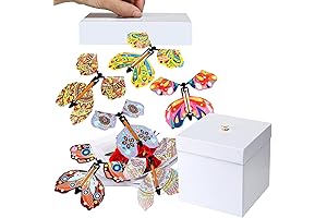 Butterfly Explosion Gift Box: Surprise & Sweet Memories