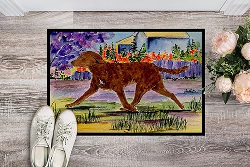 Miniatura 3 de Caroline's Treasures SS8435MAT - Tapete Chesapeake Bay Retriever de 18 x 27 pulgadas, para interiores y exteriores, para entrada, antideslizante,