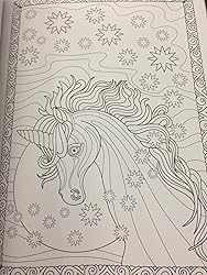 Amazon.com: Creative Haven Entangled Starry Skies Coloring Book (Adult ...