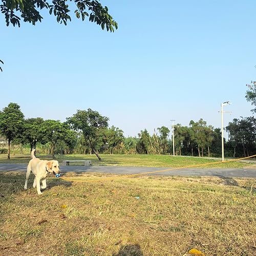 Miniatura 5 de ZALER - Correa larga para perros de 50 pies, 30 pies, 20 pies, 15 pies, 10 pies, correa de entrenamiento para perros, cordón reflectante resistente