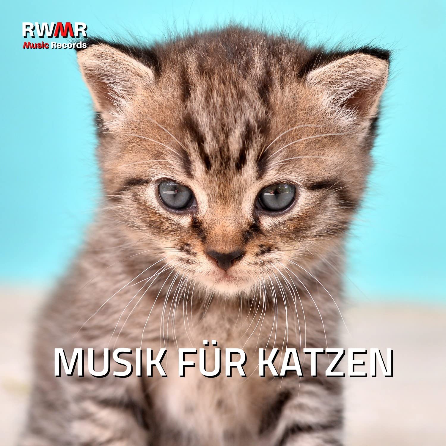 RW Musik für Katzenohren