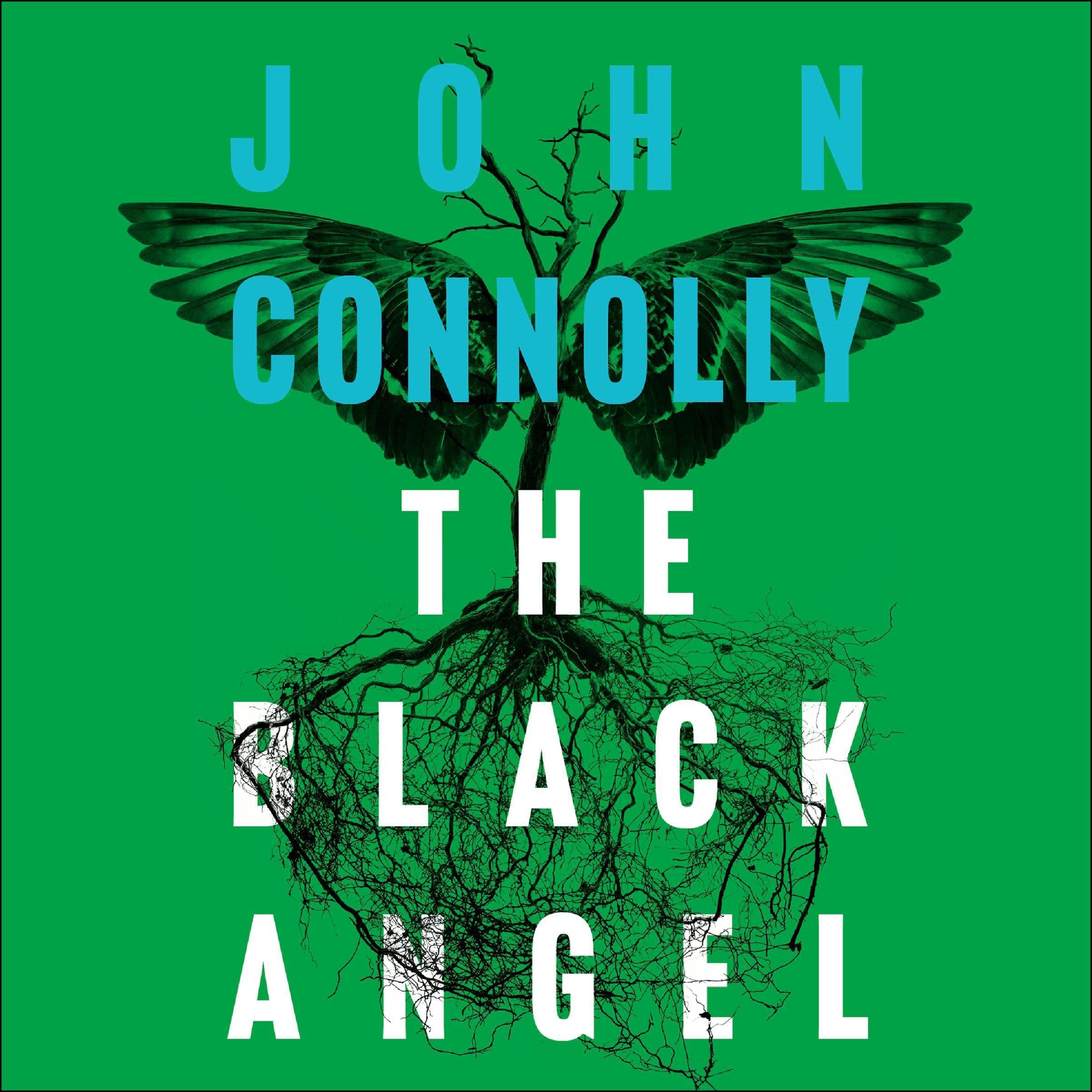 Cover art for The Black Angel
