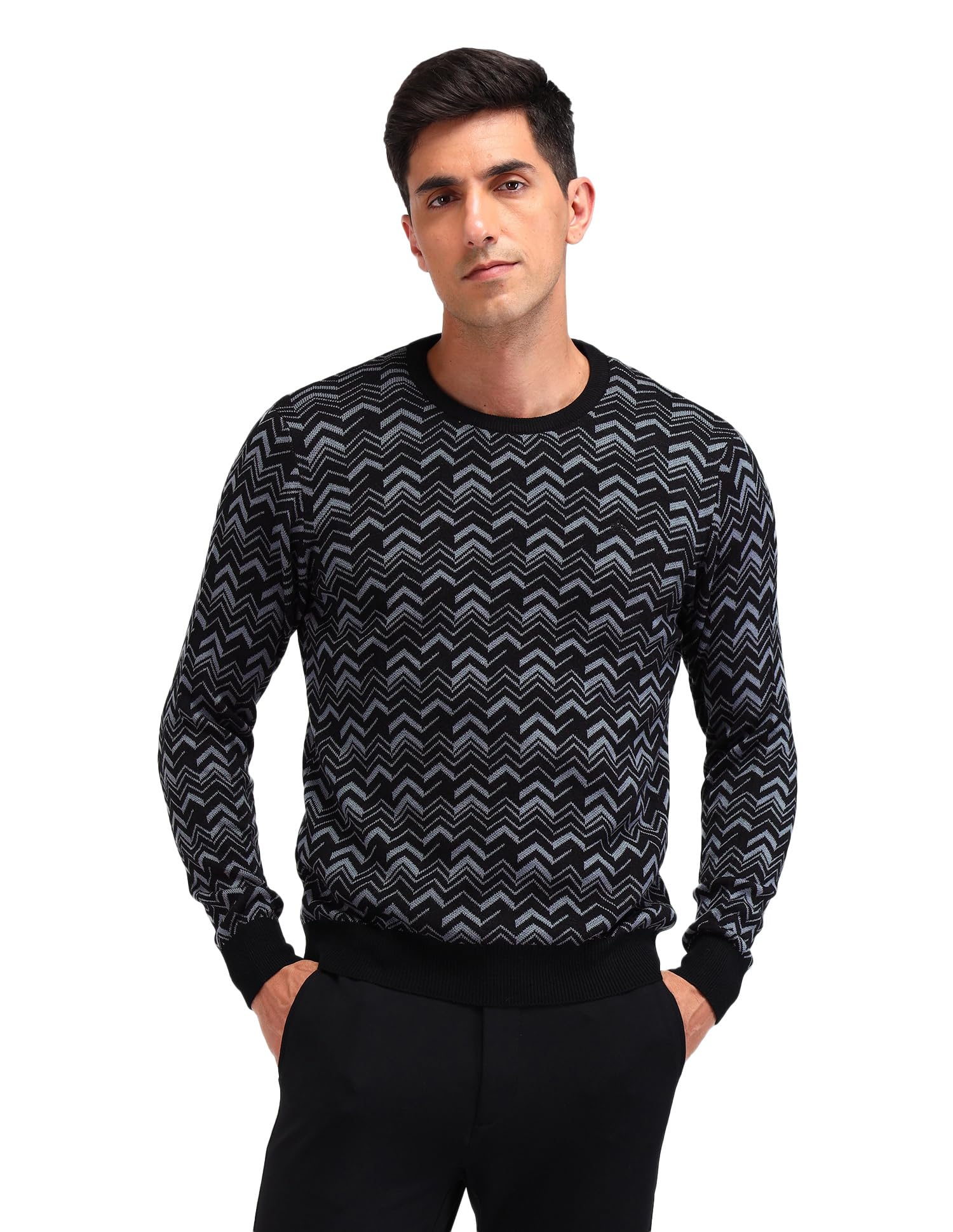arrow Mens Black Printed Crew Neck Long SleeveCasual CottonRegular Fit Sweater-picture-28