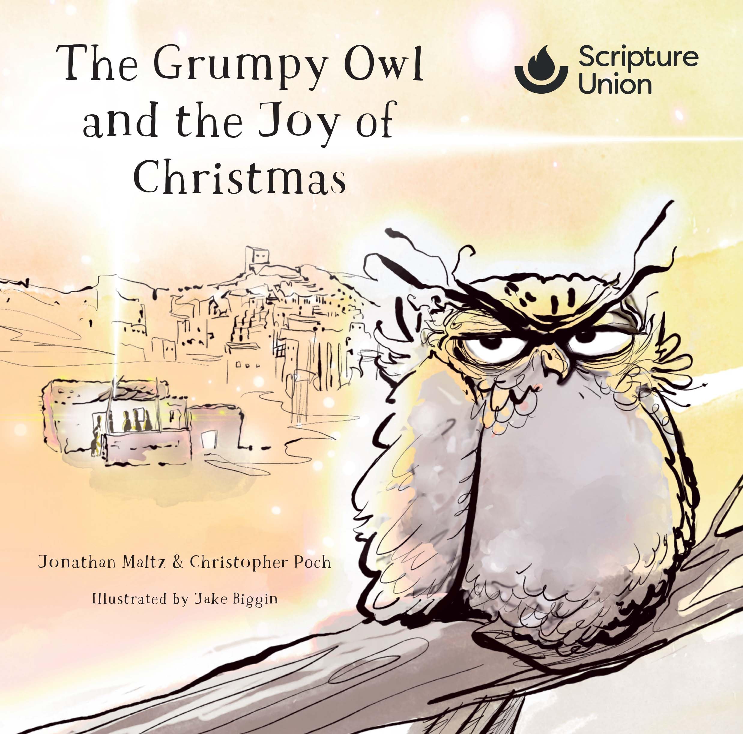 The Grumpy Owl and the Joy of Christmas (10 pack)