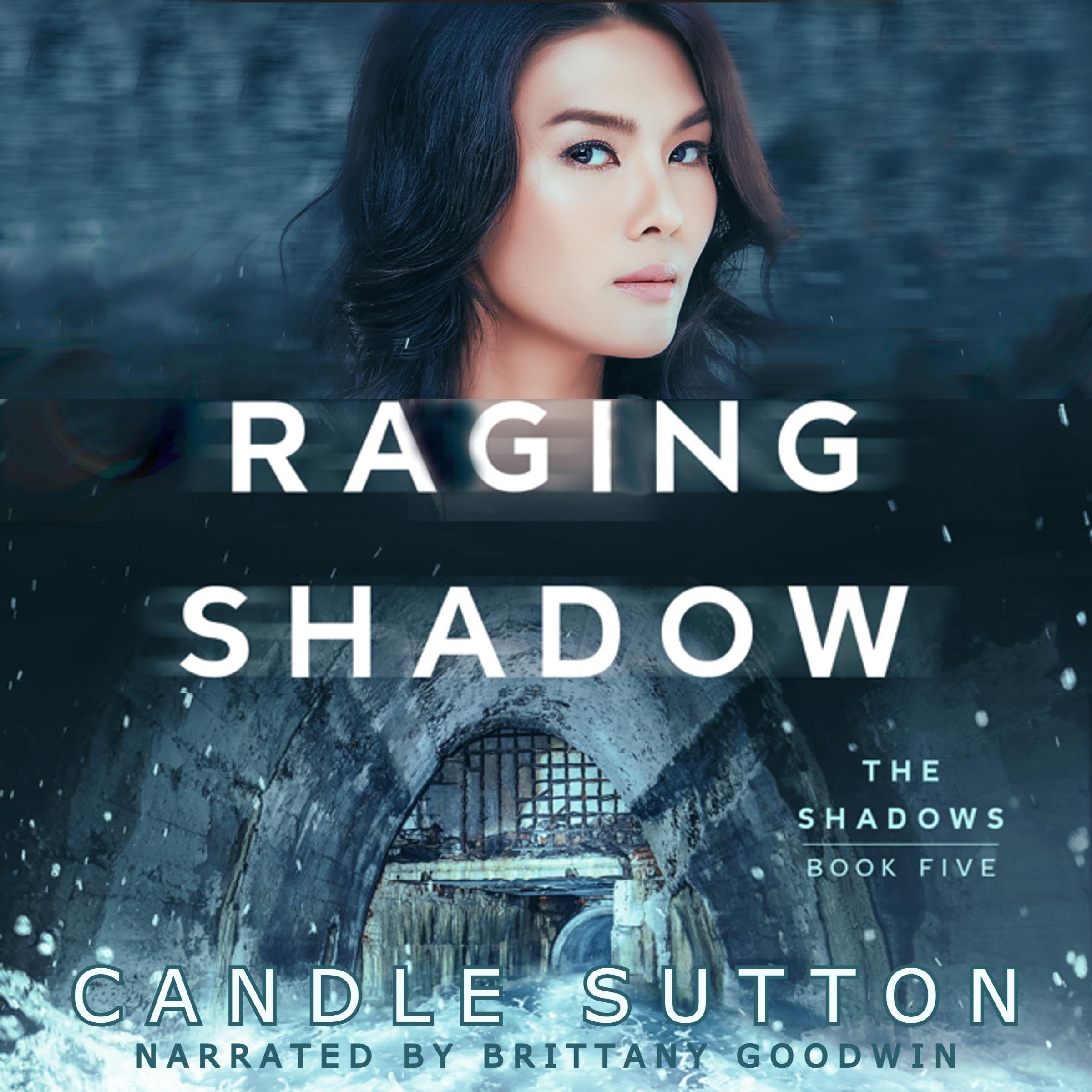 Cover art for Raging Shadow
