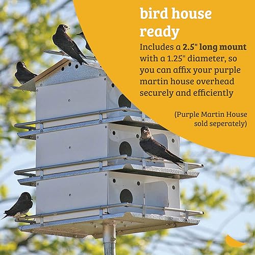 Miniatura 4 de Birds Choice Purple Martin Bird House - Poste telescópico de 3 secciones, 12.5 pies, accesorios de alta resistencia, color gris