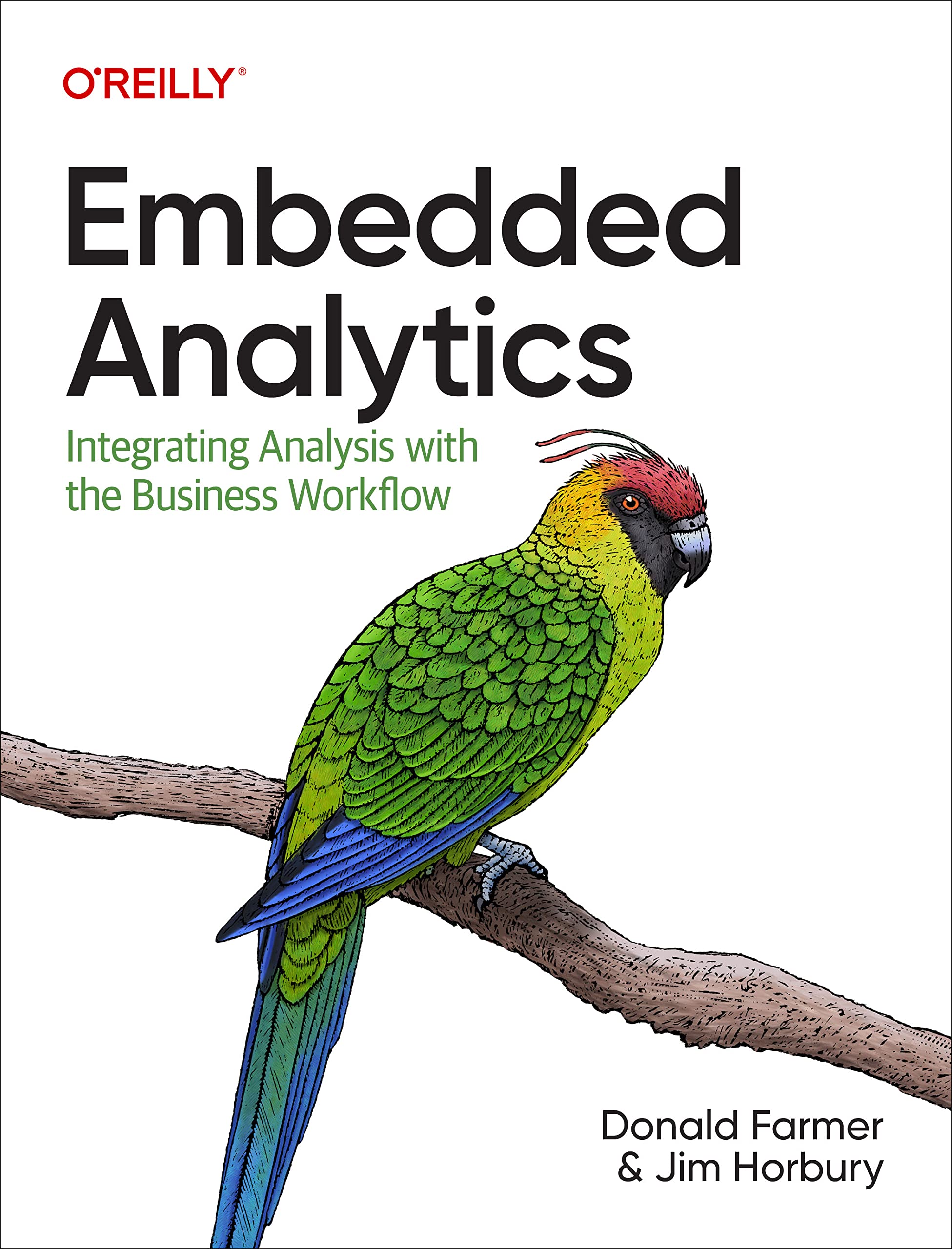 Embedded Analytics Paperback – Import, 25 May 2023