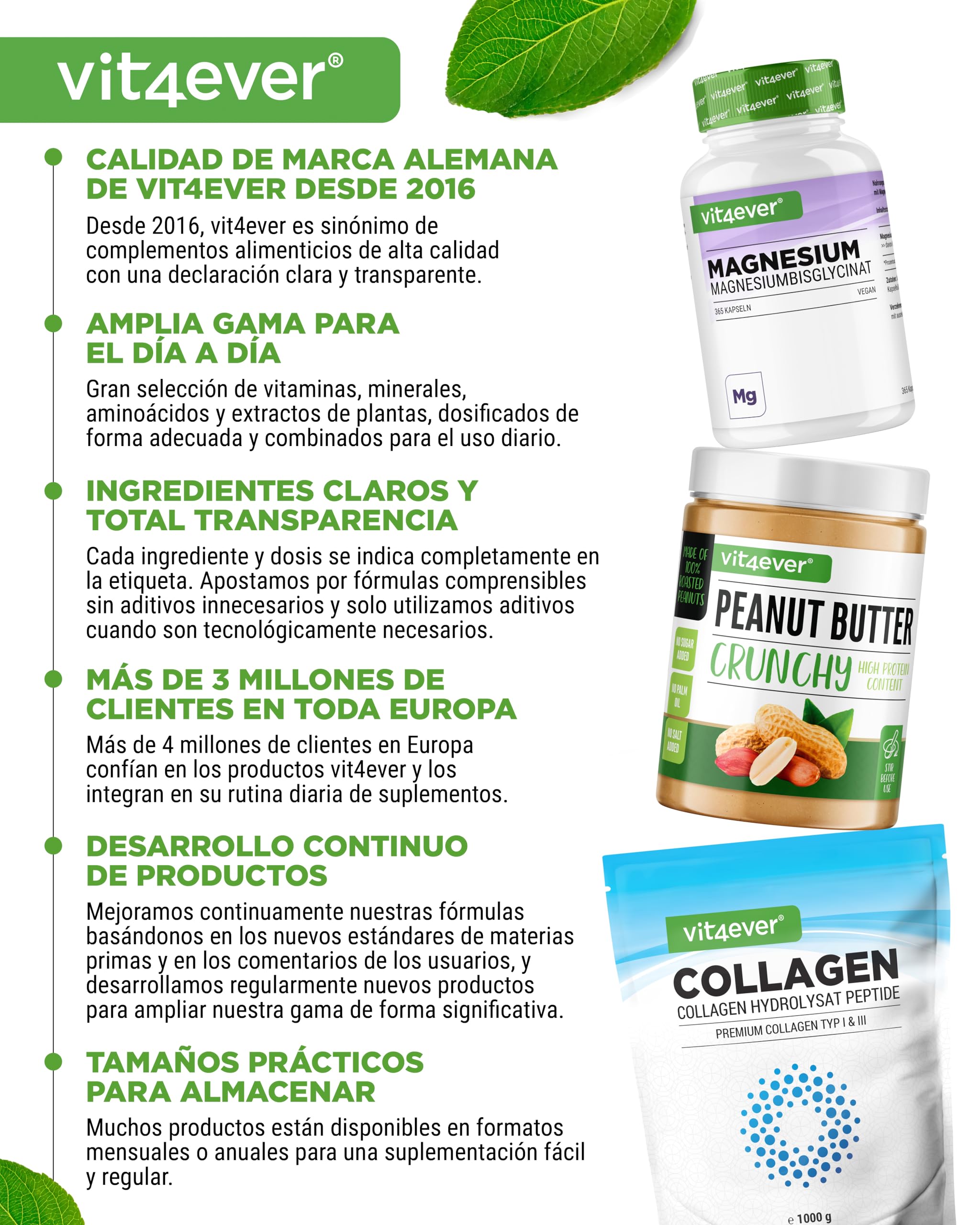 L-Teanina - 180 cápsulas - 750 mg por dosis diaria - De extracto natural de té verde - Alta dosis - Vegano