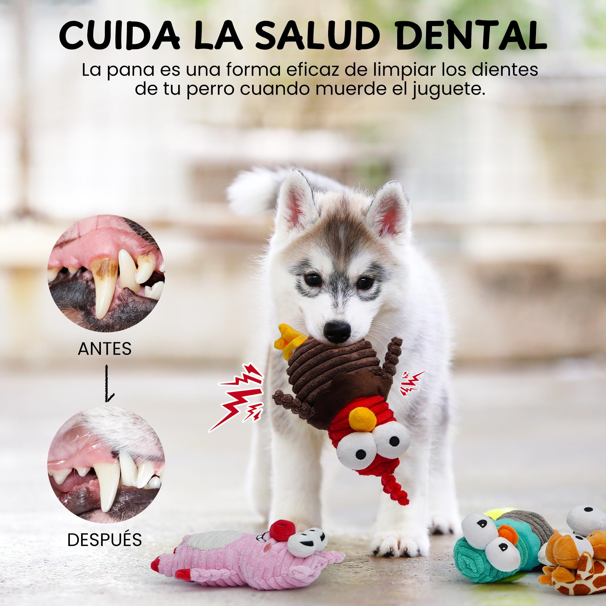 Nocciola - 5 Juguetes Chirriantes para Perros, 5 Divertidos Sonidos Extraños para 5 Animales Diferentes, Juguete Estimulante Duradero para Pequeños a Grandes