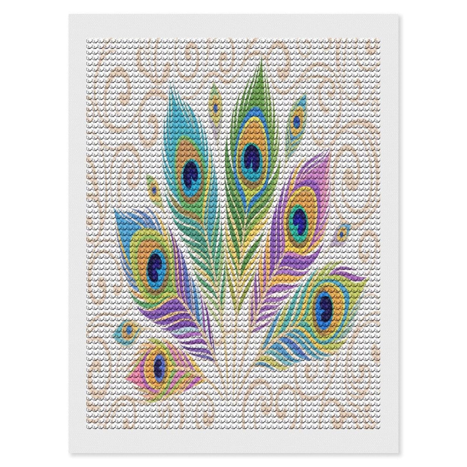 VstaDank Peacock Feather Diamond Painting Kits Exquisite DIY Full Round Drill Diamond Dots Painting for Adults Beginner Diamond Photo Paint with Diamond Picture Art Wall Decor 12"x16"