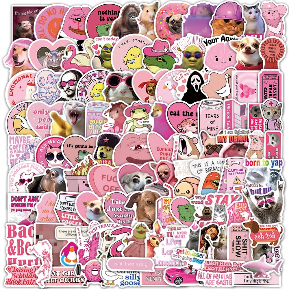 100 Pink Meme Stickers Pack for Laptop Luggage Scrapbooking Skateboard Guitar Water Bottle, Gift for Teens Kids Girls