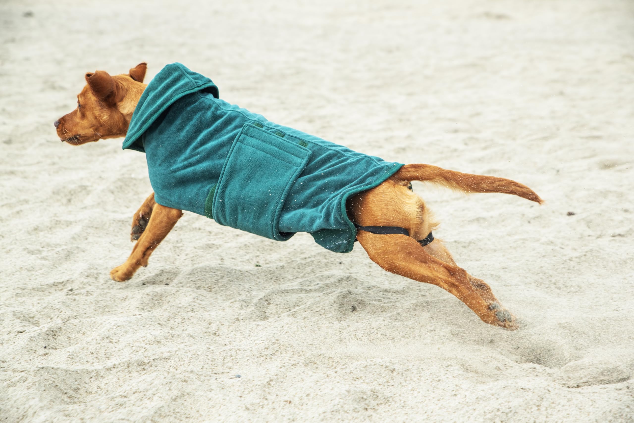 Mountain Paws Peignoir de séchage pour Chien | Serviette en Microfibre | Peignoir Super Absorbant pour Chien ou Chiot avec col/Capuche réglable et Sangle de Ventre | Super Doux | Séchage Rapide