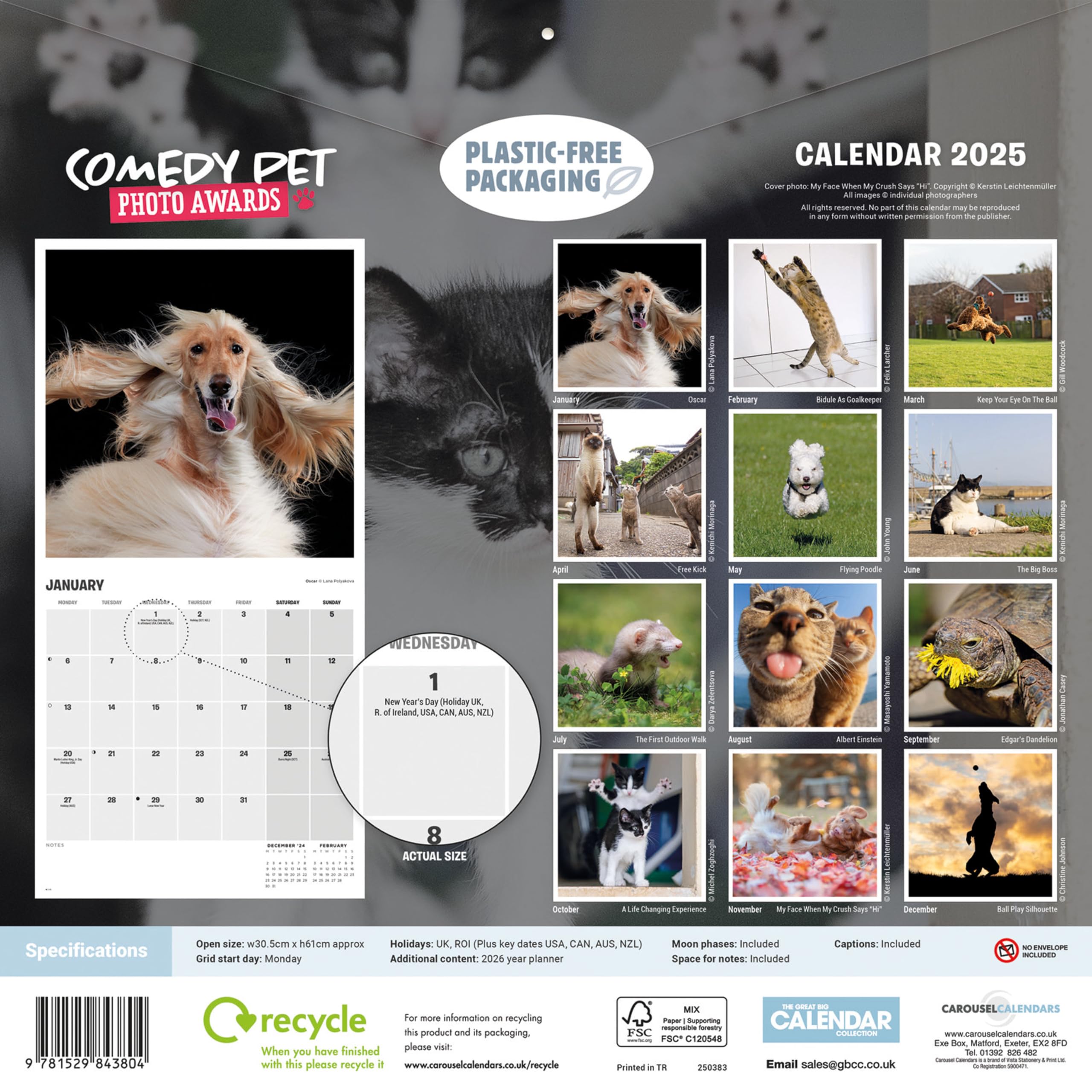 Funky Animal Hairdos And A Smoking Duck Among 2025 Comedy Wildlife Photo Awards Finalists - News - View #10