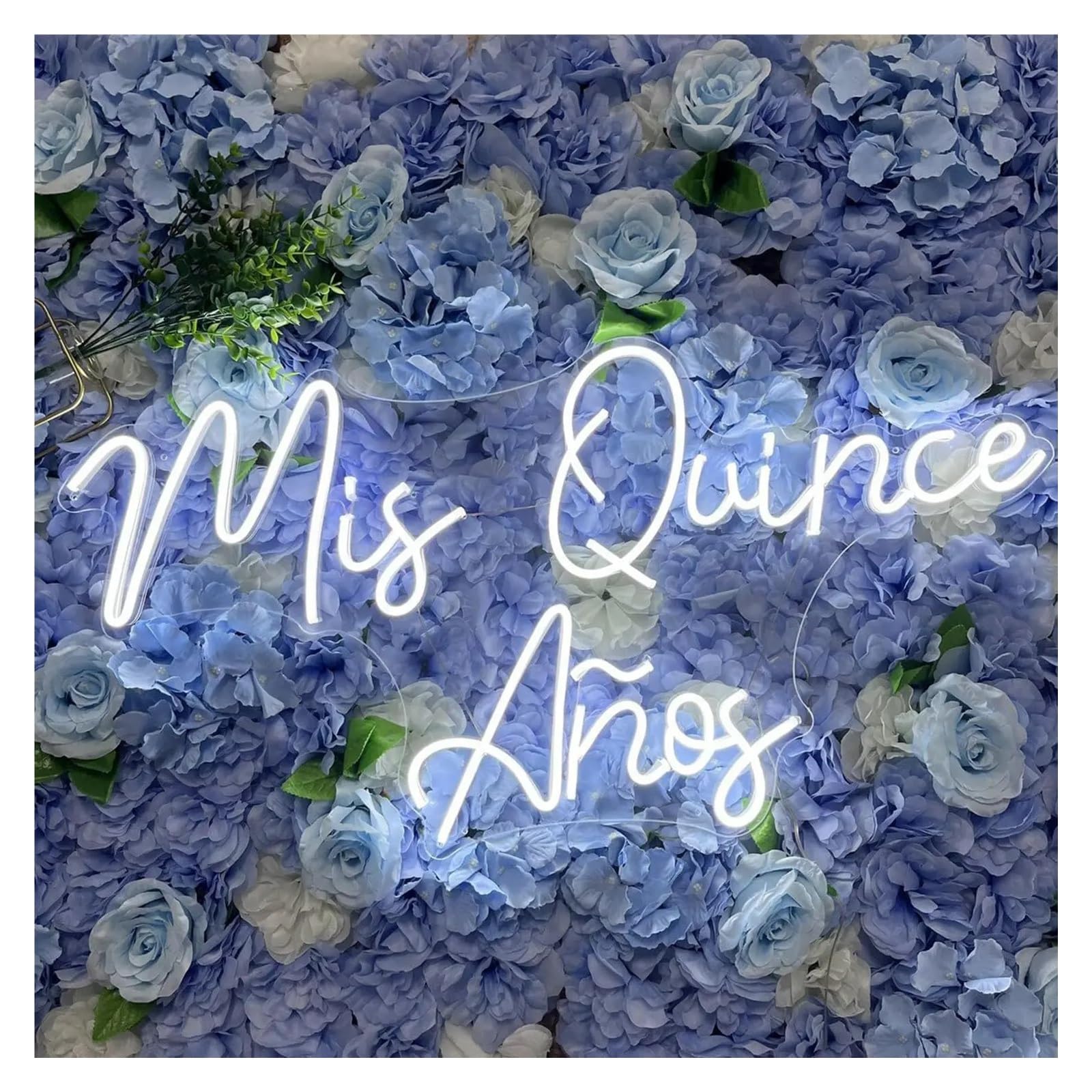 LEMST Signs Lamp Mis Quince Años Neon Sign Dimmable Light USB Powered for Birthday Party Room Home Personalized Wall Decor 21.7cmx40cm
