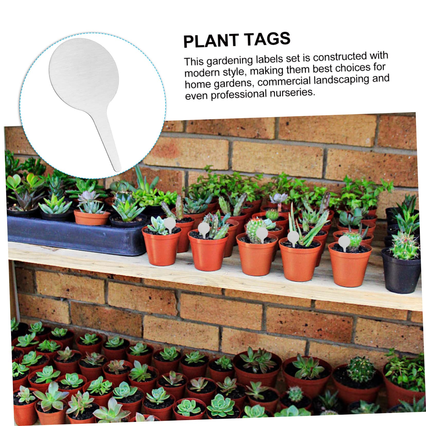150pièces Étiquettes Rondes Métal Pour Plantes Marqueurs De Jardin Acier Inoxydable Étiquettes Pratiques Et Décoratives Pour Classer Vos Plantes