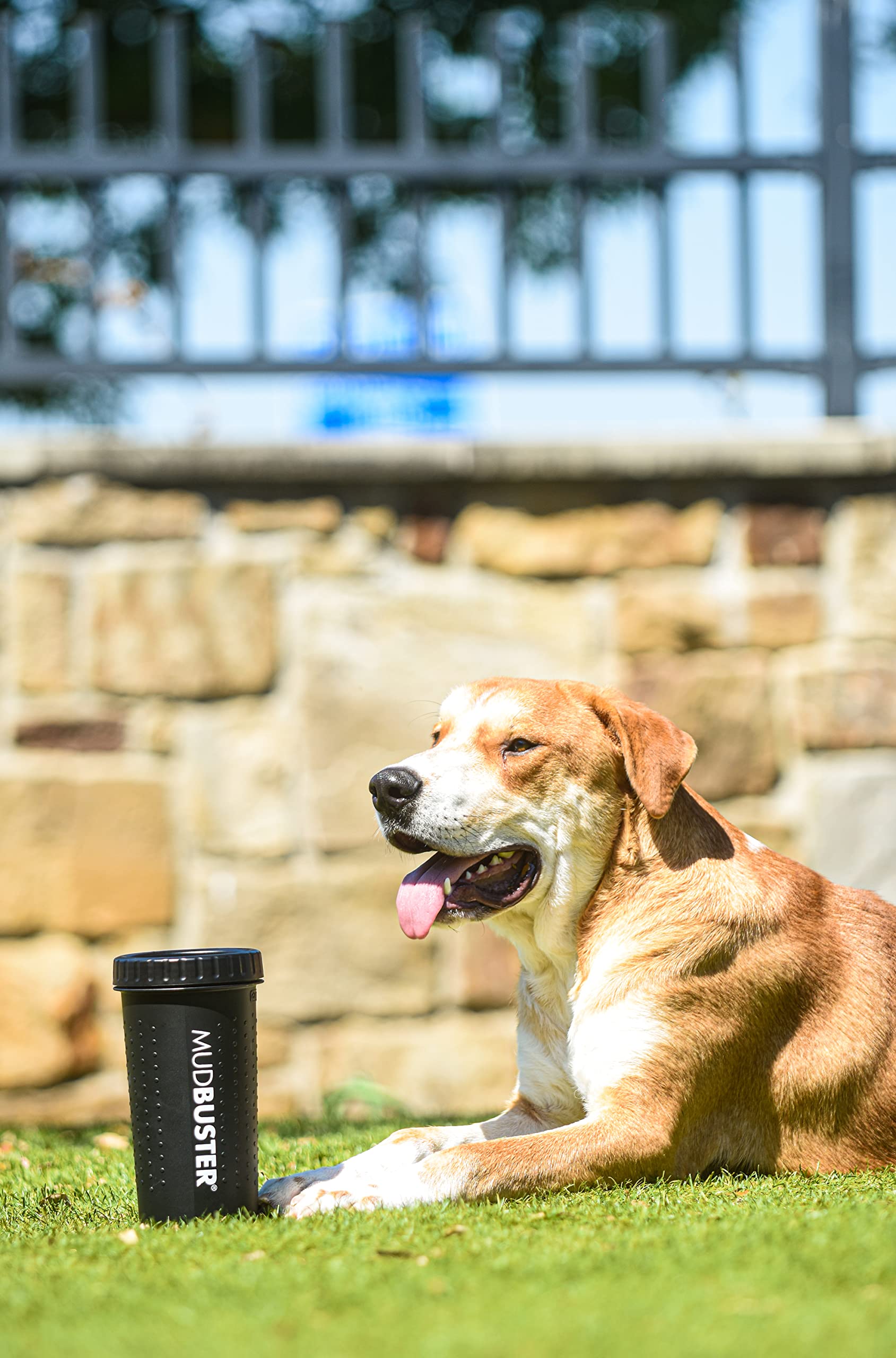 Dexas MudBuster Portable Dog Paw Washer/Paw Cleaner, Large, Matte Black- Special Edition (PW72025-22WP) - image 6