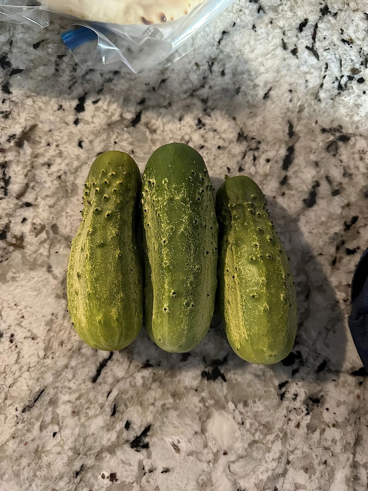 Salt and Pepper Cucumber Seeds (40 Seed Pack) Patio