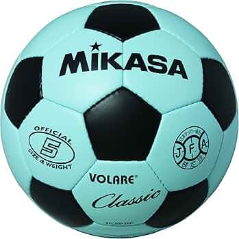 81fyc-KyRpL._AC_UF350,