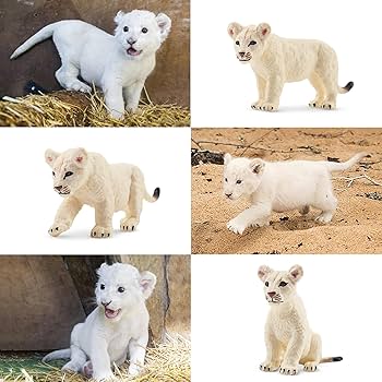 Amazon.co.jp: TOYMANY 6PCSライオンフィギュア 白いライオン