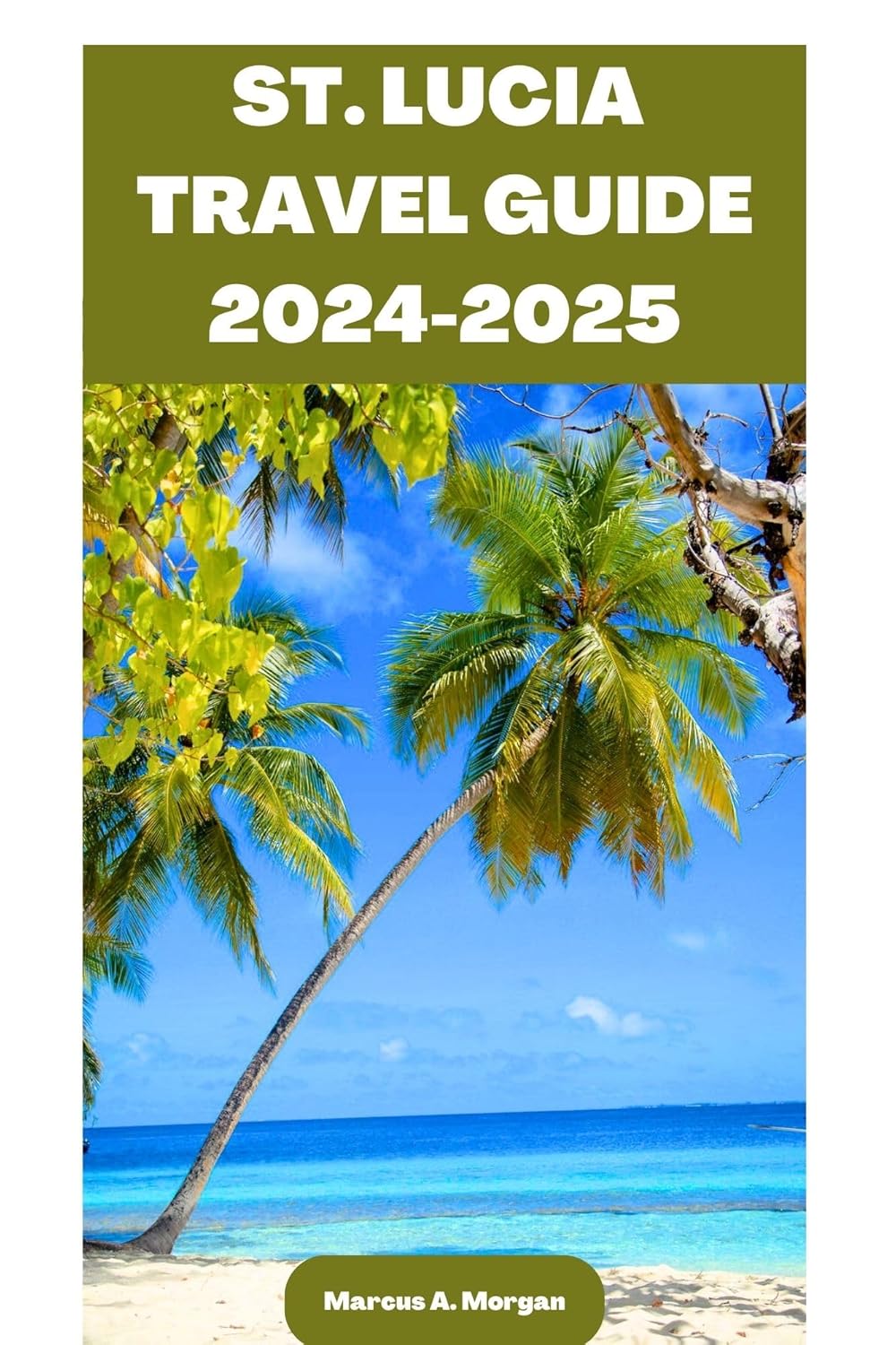 ST. LUCIA TRAVEL GUIDE 2024-2025: Your Passport to Memorable Adventures