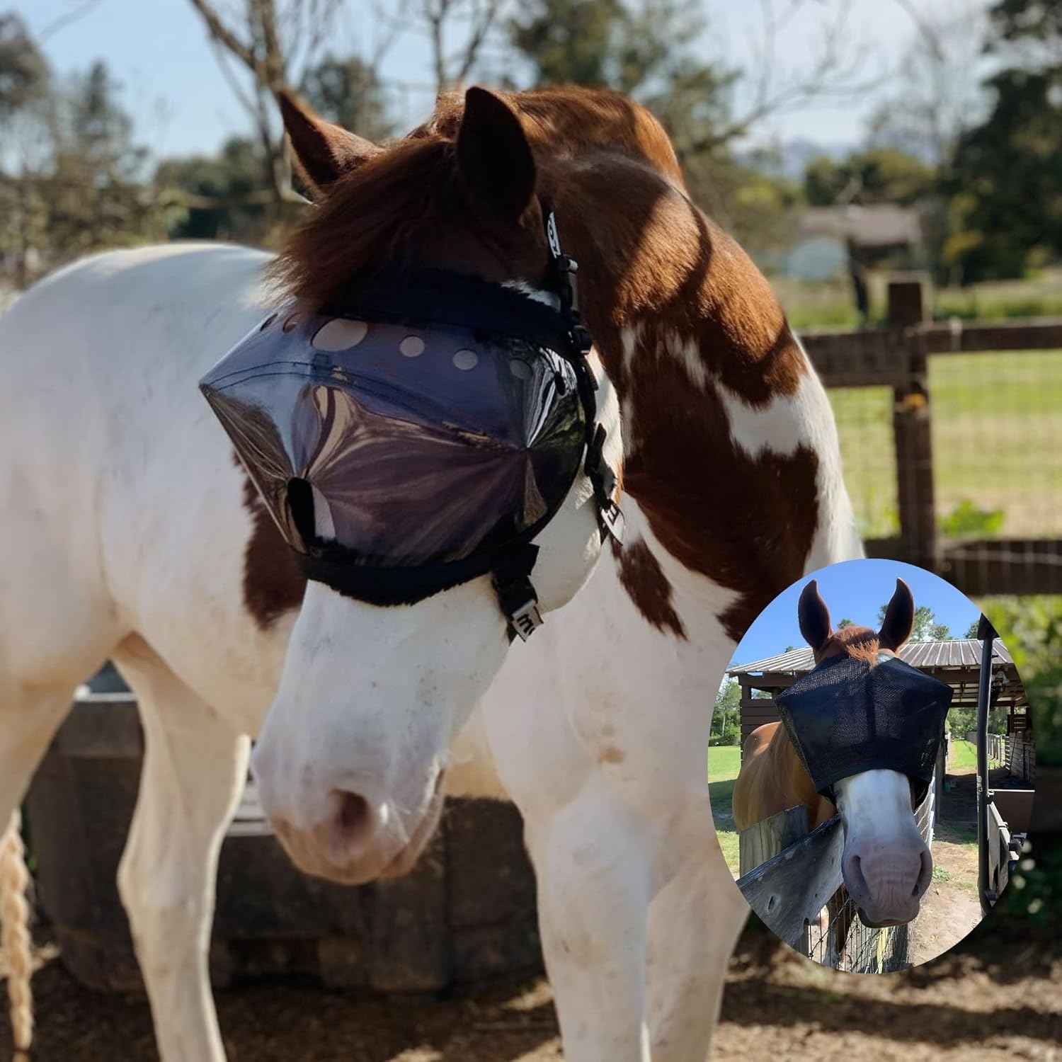 Recovery Vizor, (Size Full - Clear UV Tint) Medical and Preventative Horse Eye (Goggle) Protection Mask for Uveitis, Injury, Scratch or Corneal Infection, Blindness.