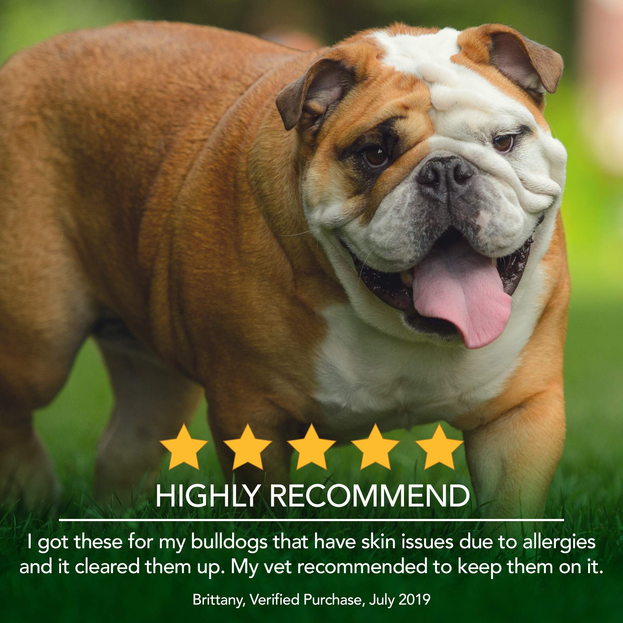 Buy Vet's Best Healthy Coat Shed & Itch Relief Dog Supplements