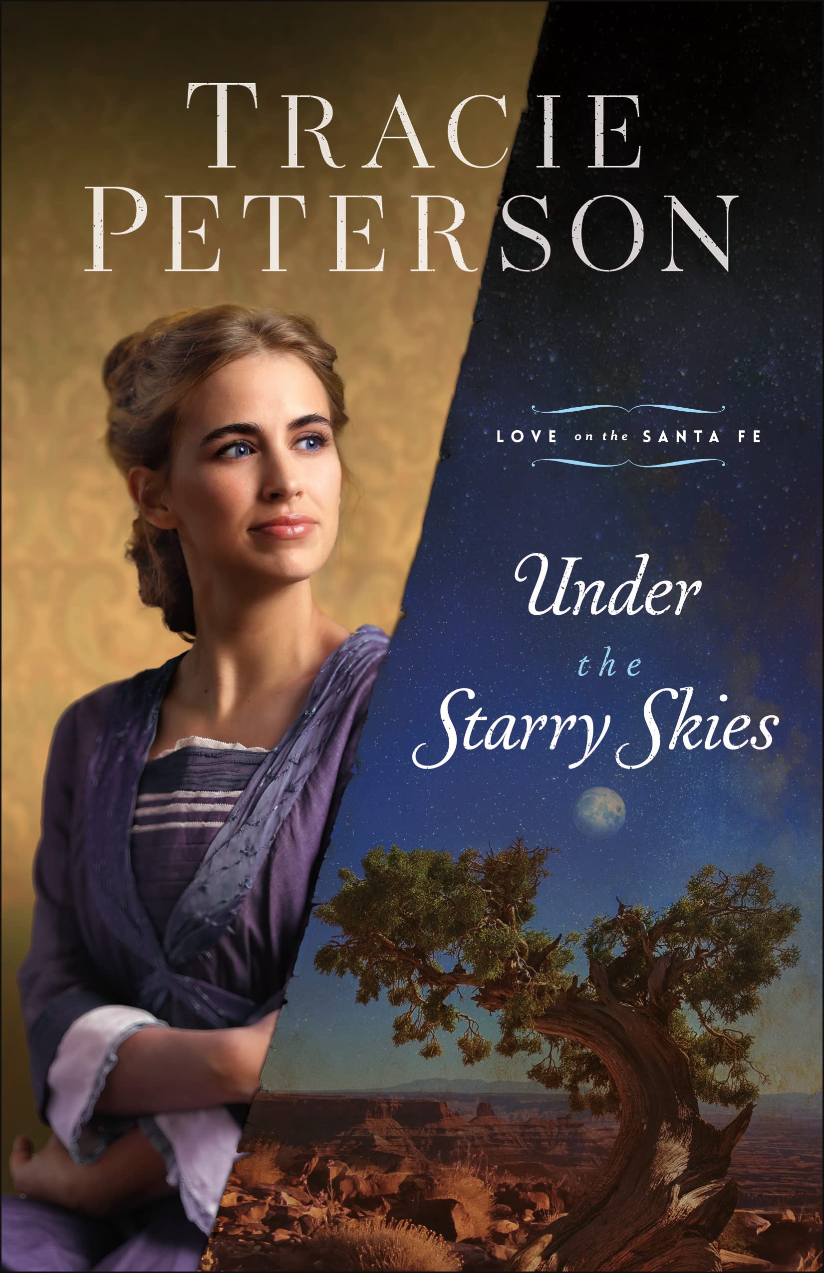 Under the Starry Skies: (A Christian Historical Romance Series Set in Early 1900's New Mexico) (Love on the Santa Fe)
