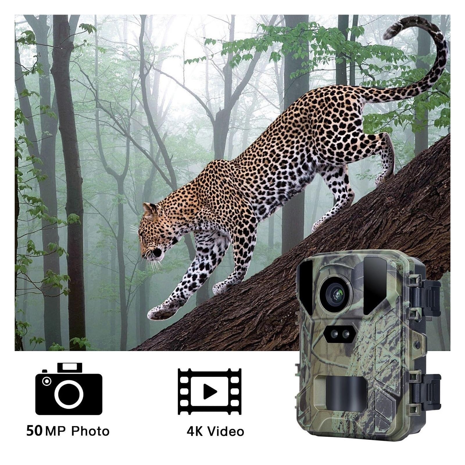 Kamera Obserwacji Dzikiej Przyrody 4K MiNi800 Mini Kamera Myśliwska Na Dziką Przyrodę 50MP Keep Way Obserwacyjna Wodoodporna HD Night Vision Fotopułapka Podczerwień Z Samochodem 256GB(With 32GB card)