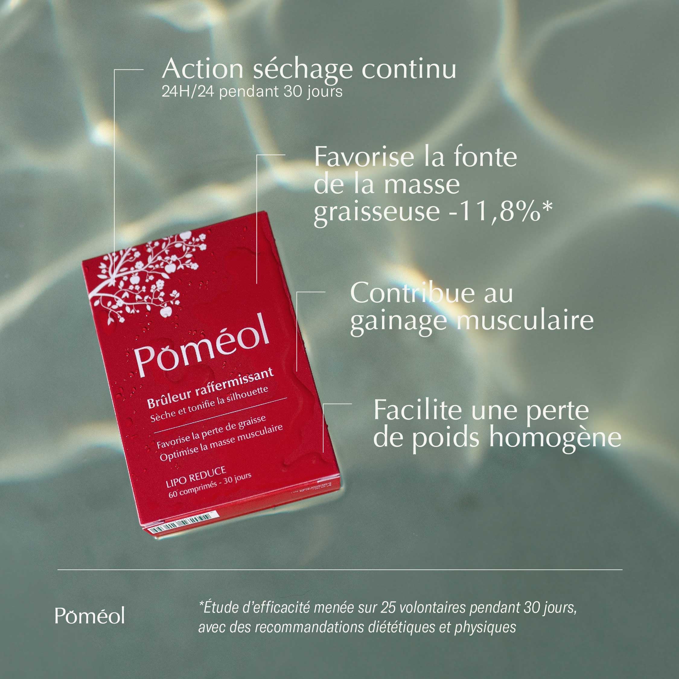 Brûleur de graisse puissant et raffermissant ǀ Complément Alimentaire Perte de Poids ǀ Made in France ǀ Optimise la masse musculaire ǀForskoline,Ascophyllum,Piment, Vitamine B6,Chromeǀ30 joursǀPOMÉOL