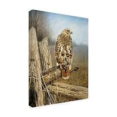 Red Tailed Hawk by Rusty Frentner 18x24-Inch