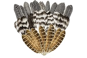 Soft and Plush Comfort Feathers for a Cozy Chick Brooder
