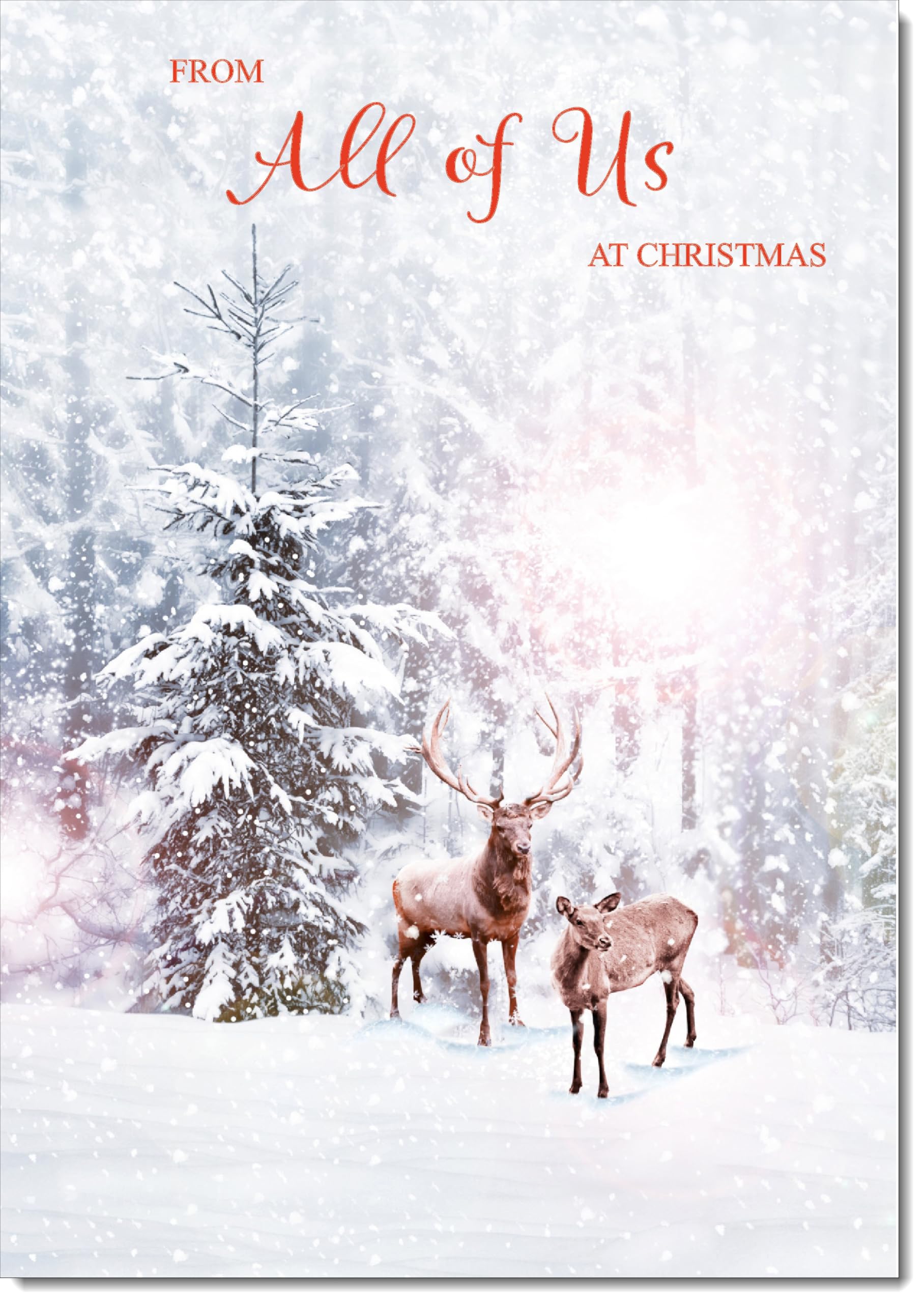 doodlecards From All Of Us Christmas Card Deers in Forest Large A4 Size Christmas Card for From All Of Us with Plain Envelope — image 1