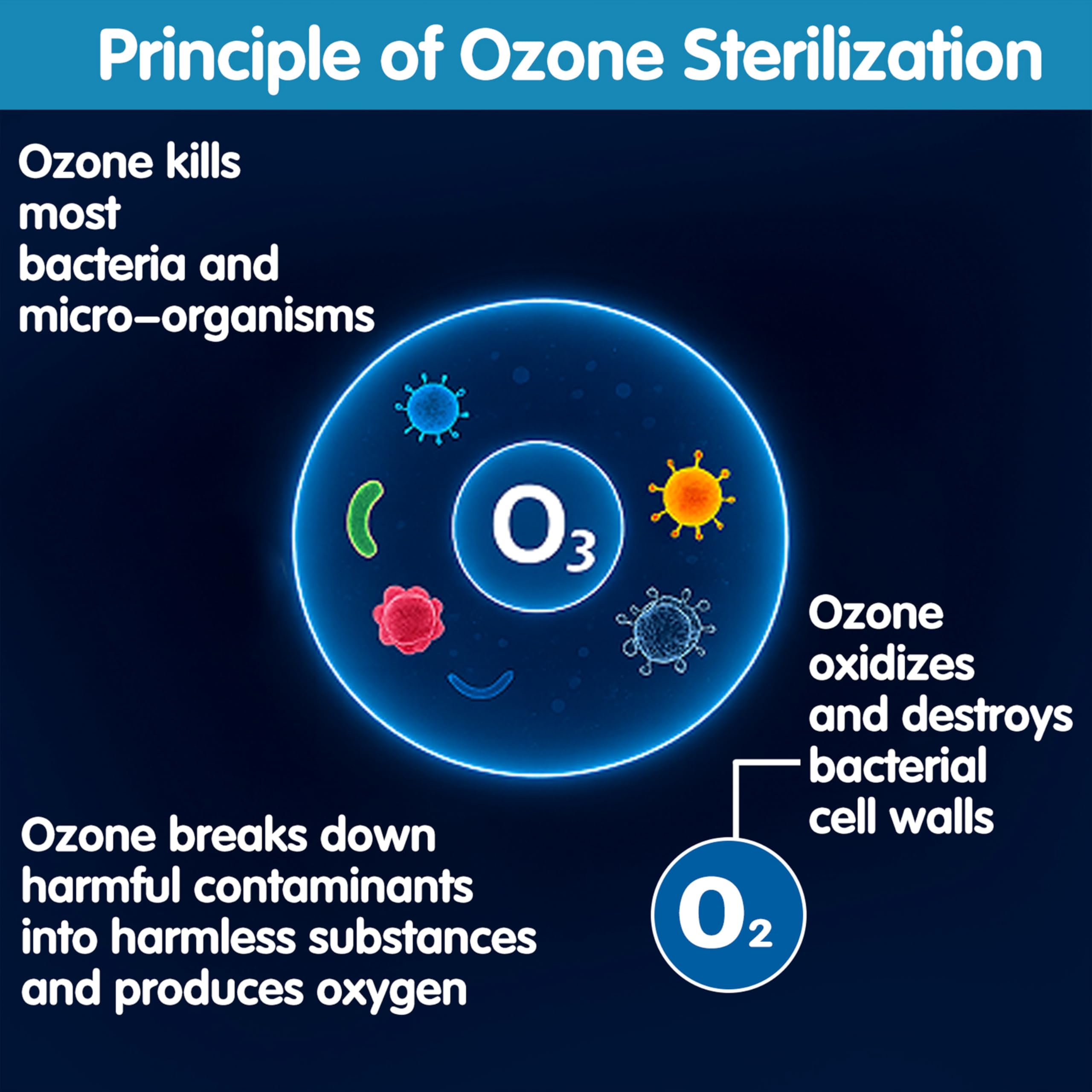 Purificateur d'ozone pour jacuzzi et plongeons froids – Système d'assainissement de l'eau sans produits chimiques avec pierres d'air et tubes – Aide à réduire les bactéries et les changements d'eau