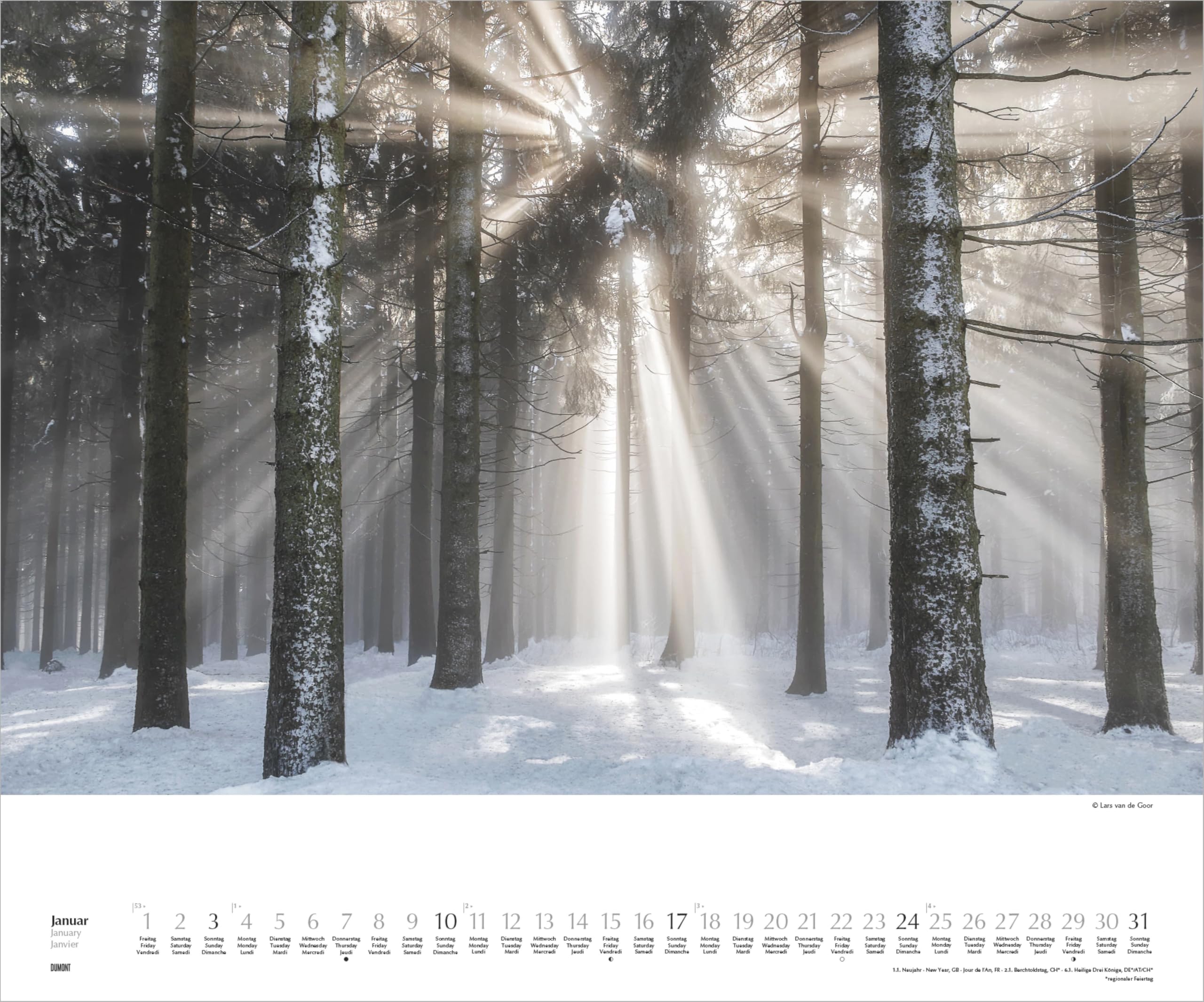 Waldspaziergang 2027: Wandkalender 60x50 cm mit Naturfotografie von Lars van de Goor und 3-sprachigem Kalendarium | Wandkalender 60x50 cm mit Naturfotografie von Lars van de Goor und 3-sprachigem Kalendarium