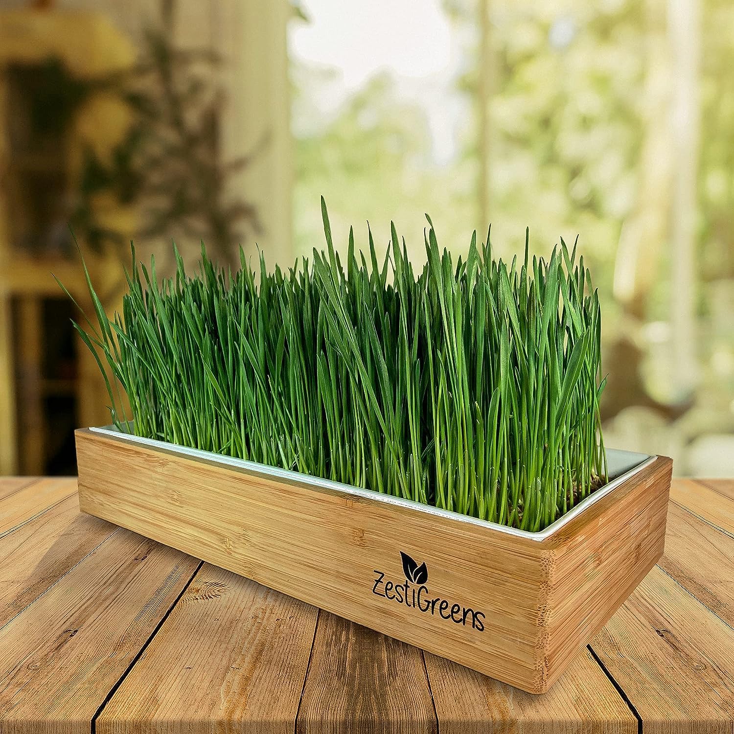 Organic Wheatgrass Growing Kit, Self Watering, with Soilless Grow Mats. The Easy Way to Grow & Juice Healthy Wheat Grass & Make Cat Grass. Bamboo Surround & Black Out Lid. (Organic Wheatgrass Kit)